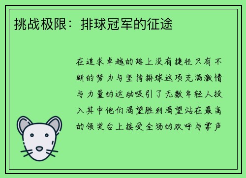 挑战极限：排球冠军的征途